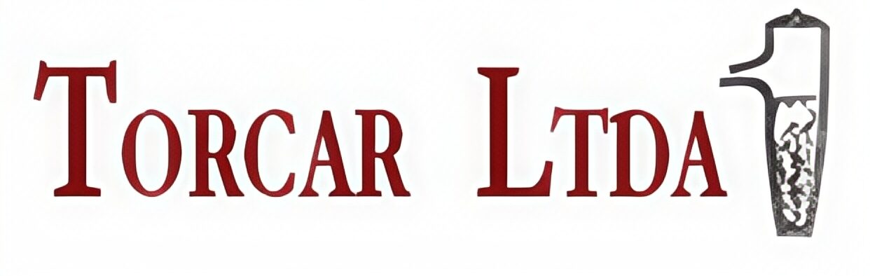 Logo Icon